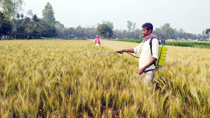 মার্চ ০১,২০২৩