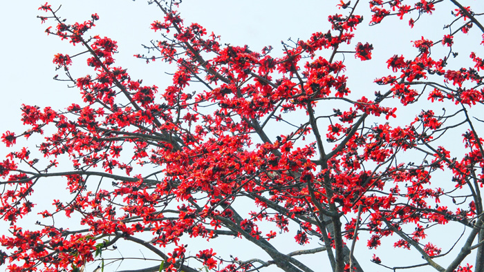 ফেব্রুয়ারি ১৭,২০২৩