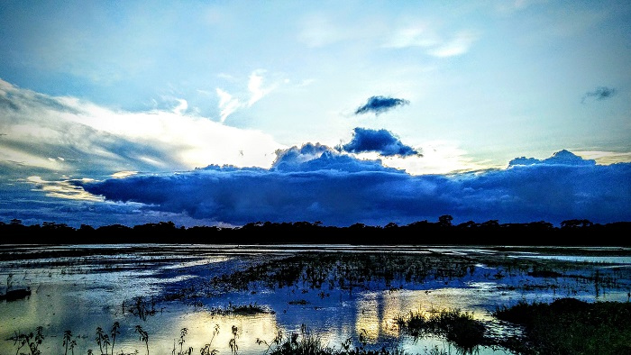 দিগন্ত পেরিয়ে