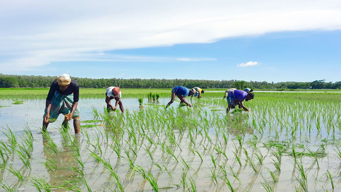 সেপ্টেম্বর ০১,২০২২