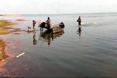 নেত্রকোনায় মরে যাচ্ছে হাওড়ের ছোট-বড় দেশীয় প্রজাতির মাছ