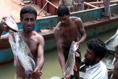 মাছে মড়ক আর পানি দূষণের কারণ অনুসন্ধানে নেমেছে বিশেষজ্ঞরা