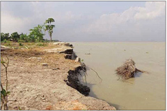 হাতিয়া দ্বীপ রক্ষায় প্রধানমন্ত্রীকে খোলা চিঠি