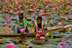 দেখে আসুন জৈন্তাপুর ডিবির বিল