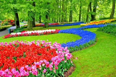 ম্যালেরিয়া প্রতিরোধে ভিন্ন উপায়ে বাগান