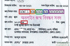 কীভাবে করবেন জন্ম নিবন্ধন
