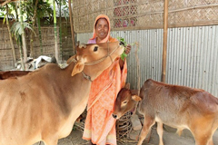 একটি বাড়ি একটি খামার : মূলধন হবে ২০ হাজার কোটি টাকা