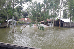 বন্যা কেড়ে নিল ২৪ শিশুর প্রাণ