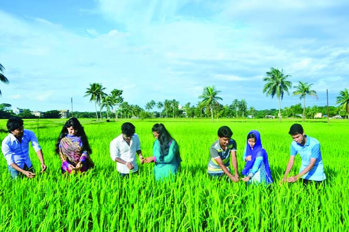 ছবি : কৃষি এখন আর চাষীদের পেশা নয়, শিক্ষিত তরুণদেরও প্রচুর কর্মসংস্থান হচ্ছে এখানে