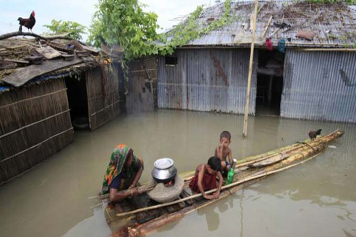 ছবি: ফাইল ফটো