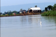 হাওরকে না বাঁচালে হাওরের অস্তিত্ব থাকবে না