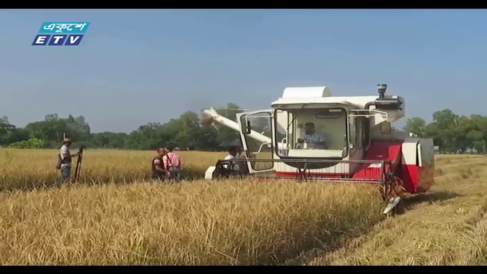 কম্বাইন্ড হারভেস্টারে কৃষকের লোকসান কমলো(ভিডিও)