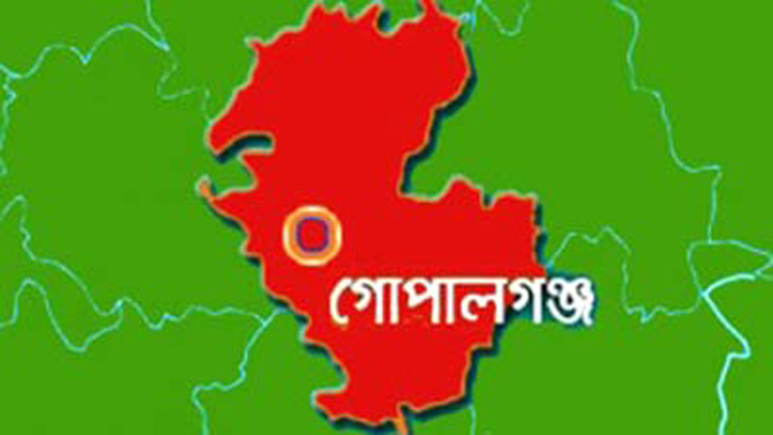 গোপালগঞ্জে বাস-থ্রিহুইলার সংঘর্ষে শিশুসহ নিহত ৬