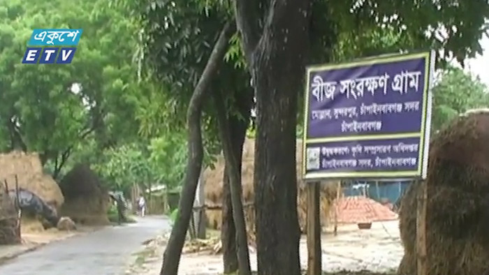 চাঁপাইনবাবগঞ্জের বীজগ্রাম (ভিডিও)