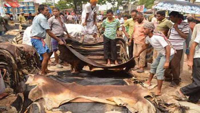 কোরবানির পশুর চামড়ার দাম নির্ধারণ  