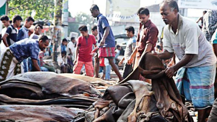 সাভার ট্যানারি শিল্প এলাকায় নতুন চামড়া নিয়ে ব্যস্ত শ্রমিকরা