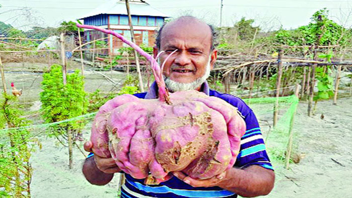 ৮ কেজি ওজনের আলু