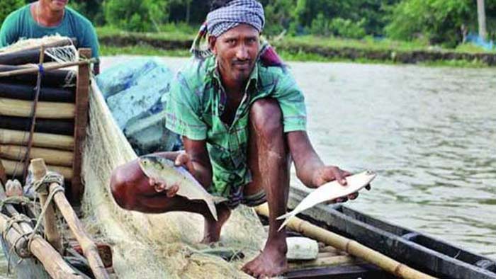 ২২ দিন বন্ধ থাকার পর আজ থেকে ইলিশ ধরা শুরু