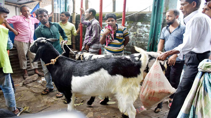 দুই মণ খাসির দাম ১ লাখ ২০ হাজার