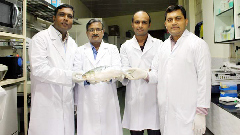 ইলিশের পূর্ণাঙ্গ জীবনরহস্য উন্মোচিত