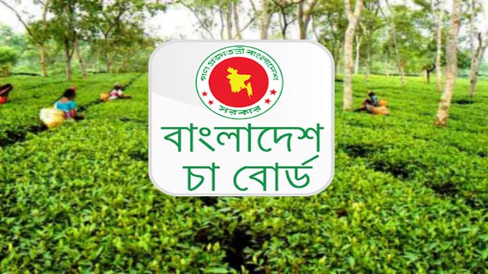 চাকরি দেবে বাংলাদেশ চা বোর্ড