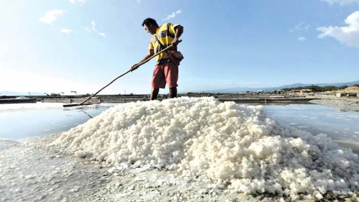 দেশে বর্তমানে লবণের কোনো ঘাটতি নেই