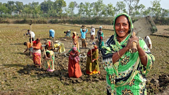 কাবিখায় নগদ অর্থ দিতে আদালতের নির্দেশ