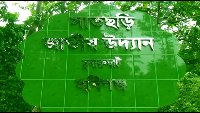 সাতছড়ি জাতীয় উদ্যানে পর্যটকদের ভীড় (ভিডিও)