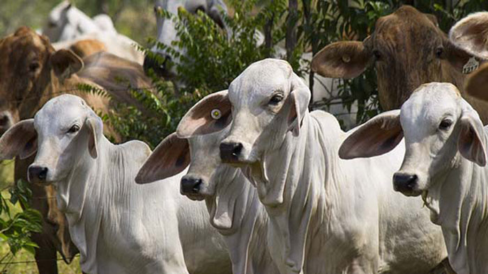 ধনী হওয়ার লক্ষণ কোনগুলি!