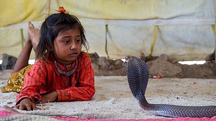ছবি: প্রতীকী ছবি: প্রতীকী