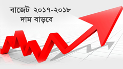 যেসব পণ্যের দাম বাড়বে