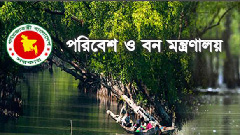 ৩০ জনকে নিয়োগ দেবে বন অধিদফতর