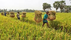 কৃষকের অর্থায়নে আসছে নতুন দুই প্রকল্প