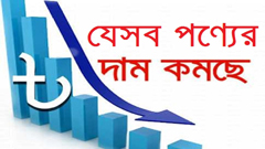 যেসব পণ্য ও সেবার দাম কমবে