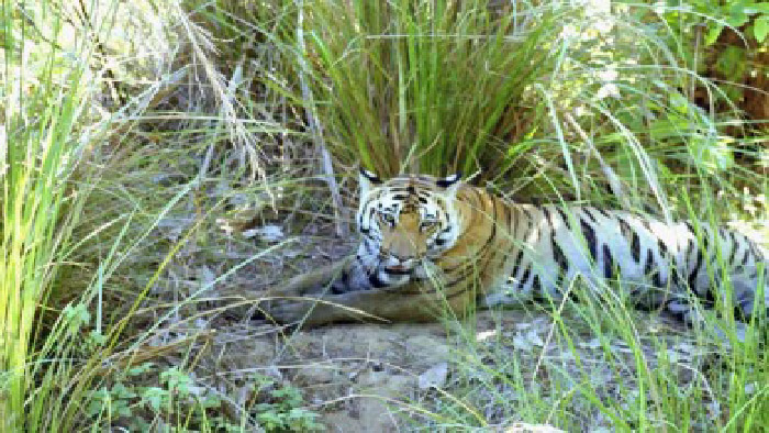 ফাইল ফটো ফাইল ফটো
