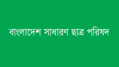 দাবি আদায়ে রিক্সা র‌্যালি করবেন আন্দোলনকারীরা 