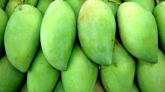 ৩ স্বাদের কাঁচা আম ভর্তা   