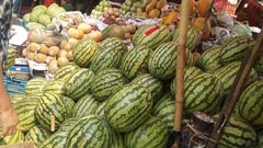 তরমুজের কদর বাড়লেও দামে অস্বস্তি