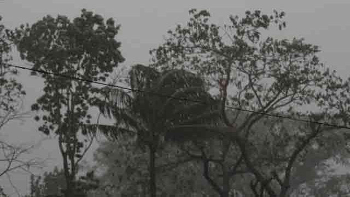 (ফাইল ফটো) (ফাইল ফটো)