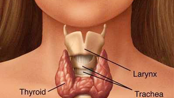 থাইরয়েডের ৬ লক্ষণ
