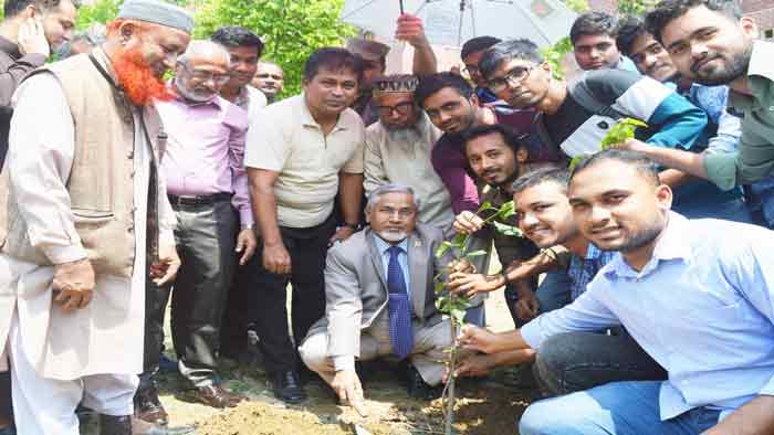 হাবিপ্রবিতে ১৮তম ব্যাচ উদ্যোগে বৃক্ষরোপণ