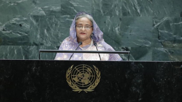 বিশ্বকে রোহিঙ্গা সংকট অনুধাবনের আহ্বান প্রধানমন্ত্রীর (ভিডিও)
