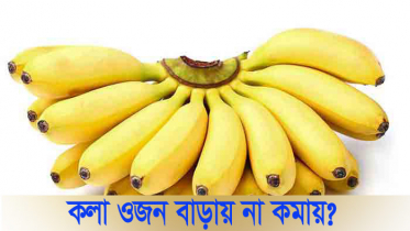 কলা ওজন বাড়ায় না কমায়, জেনে নিন