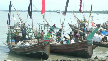 ৯ অক্টোবর থেকে ইলিশ ধরা নিষিদ্ধ
