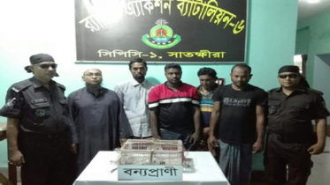 সাতক্ষীরায় তক্ষক সাপসহ আটক ৫