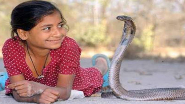 যে গ্রামে সাপের সঙ্গে মানুষের বসবাস 