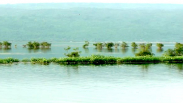 হুমকির মুখে বিশ্ব ঐতিহ্যে জায়গা পাওয়া টাঙ্গুয়ার হাওর 