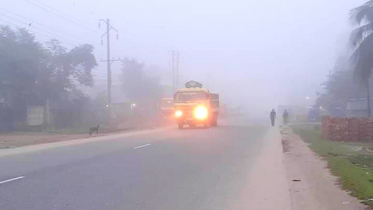 ঠাকুরগাঁওয়ে শীতের আগমনী বার্তা ঝরছে কুয়াশা 