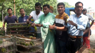 বন্যপাখি শিকারের দায়ে চারজনকে কারাদণ্ড