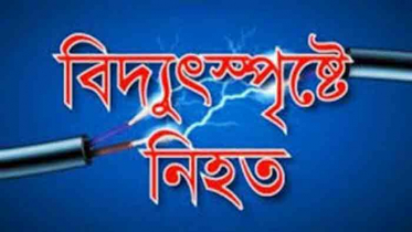 হীরারচকে বিদ্যুৎস্পৃষ্টে দুই মৎস্য কর্মচারী নিহত